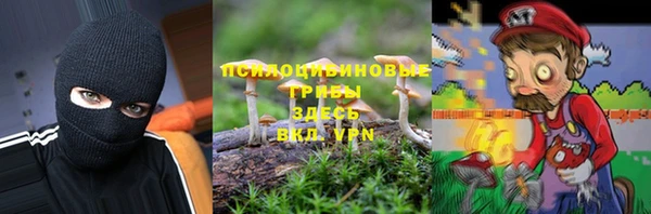 спайс Алзамай
