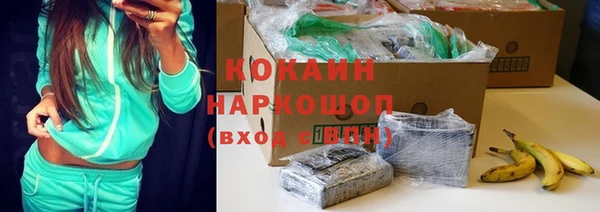 спайс Алзамай