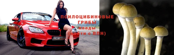 спайс Алзамай